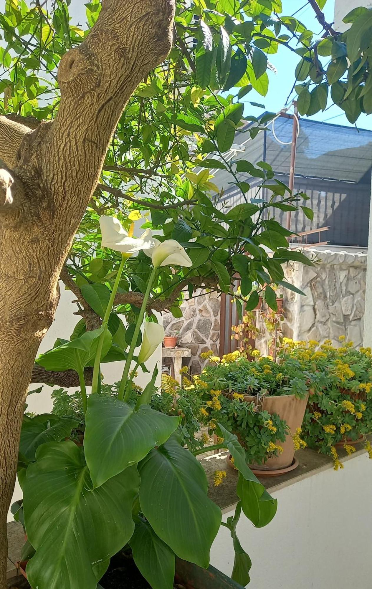 Apartments Donda Σπλιτ Εξωτερικό φωτογραφία