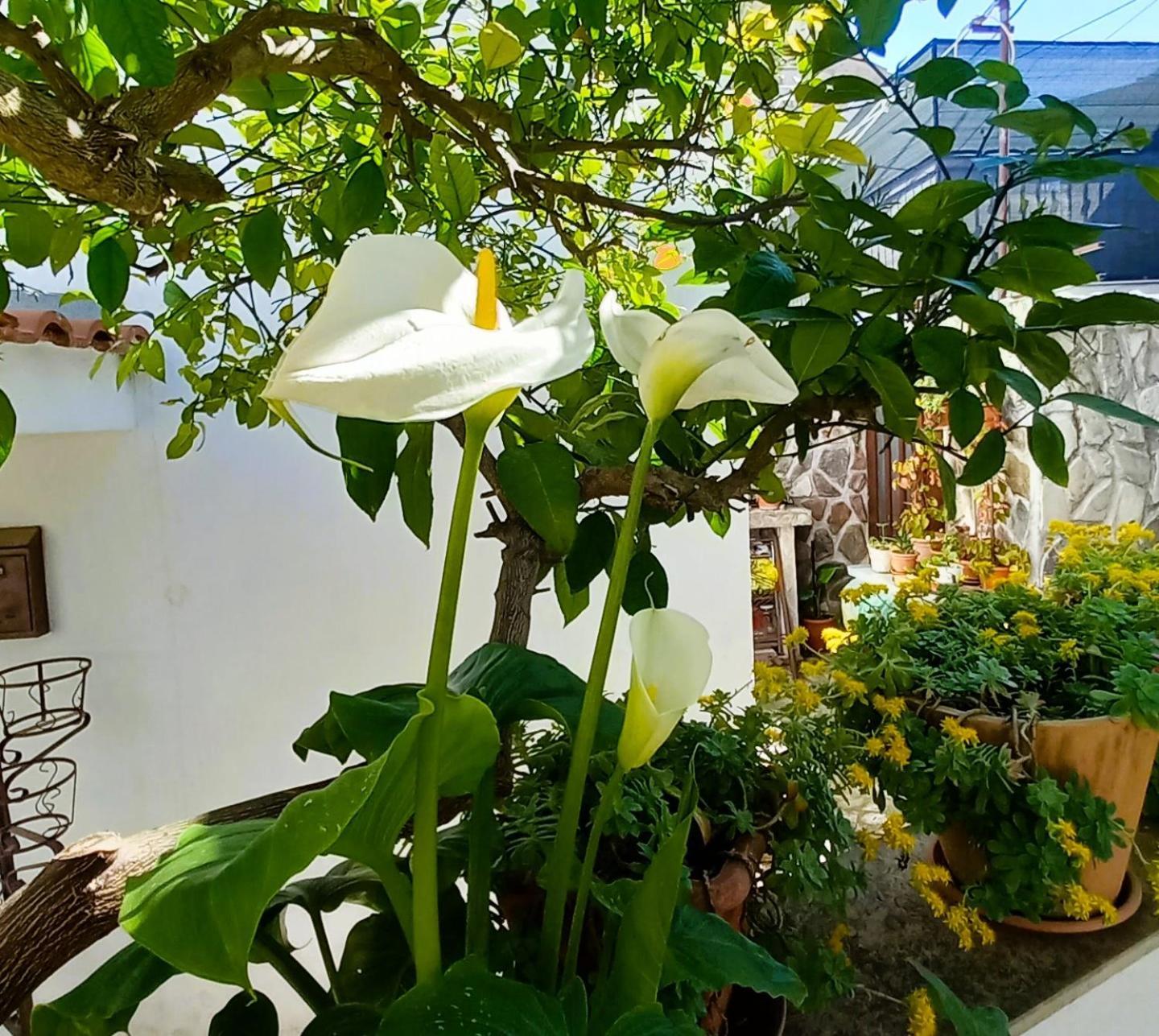 Apartments Donda Σπλιτ Εξωτερικό φωτογραφία